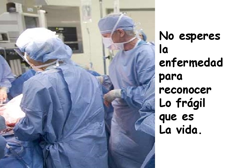No esperes la enfermedad para reconocer Lo frágil que es La vida. No esperes la enfermedad para reconocer Lo frágil que es La vida.