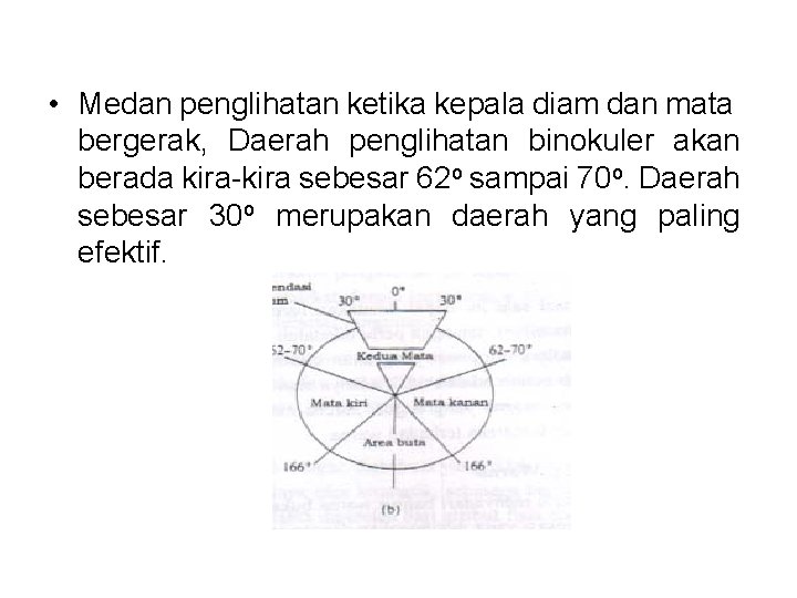  • Medan penglihatan ketika kepala diam dan mata bergerak, Daerah penglihatan binokuler akan