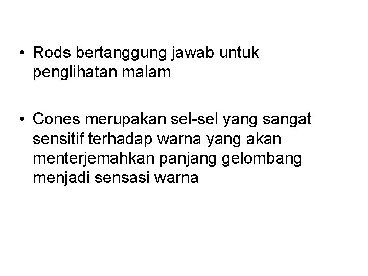 • Rods bertanggung jawab untuk penglihatan malam • Cones merupakan sel-sel yang sangat
