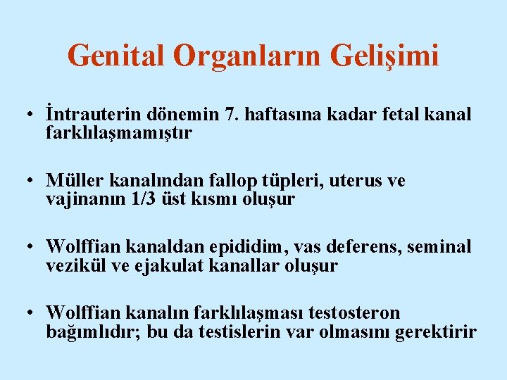 Genital Organların Gelişimi • İntrauterin dönemin 7. haftasına kadar fetal kanal farklılaşmamıştır • Müller