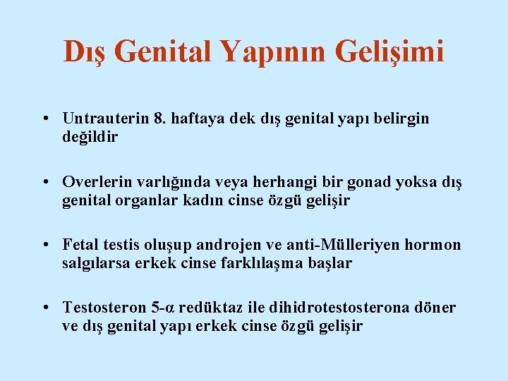 Dış Genital Yapının Gelişimi • Untrauterin 8. haftaya dek dış genital yapı belirgin değildir