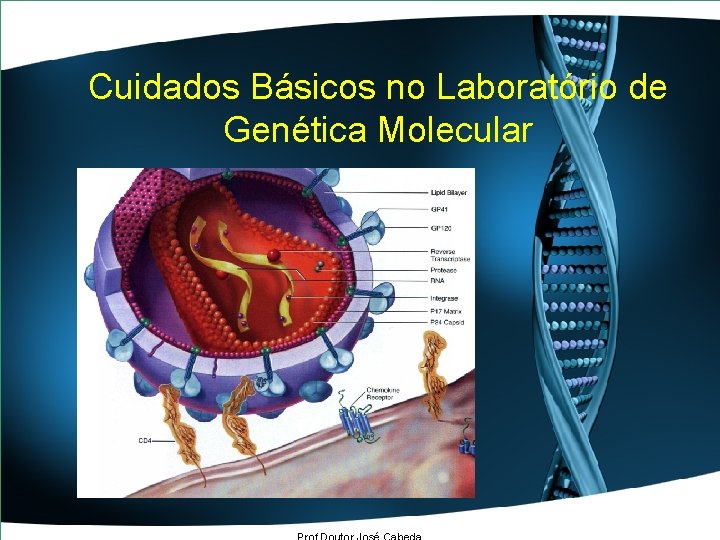 Cuidados Básicos no Laboratório de Genética Molecular 