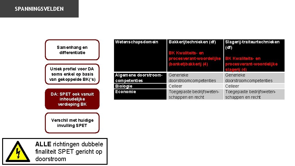 SPANNINGSVELDEN Wetenschapsdomein Samenhang en differentiatie Uniek profiel voor DA soms enkel op basis van