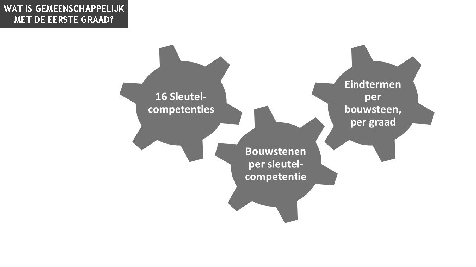 WAT IS GEMEENSCHAPPELIJK MET DE EERSTE GRAAD? 