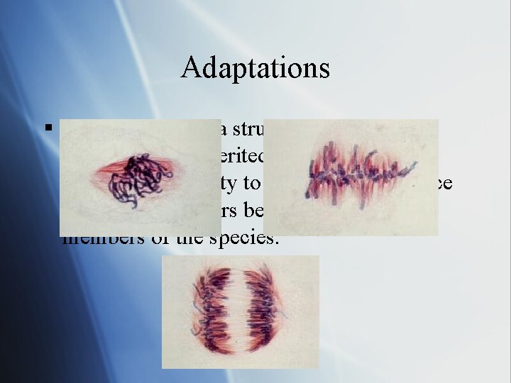 Adaptations § An adaptation is a structure or ability an organism has inherited (genetics)