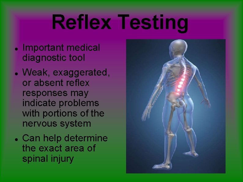 Reflex Testing Important medical diagnostic tool Weak, exaggerated, or absent reflex responses may indicate