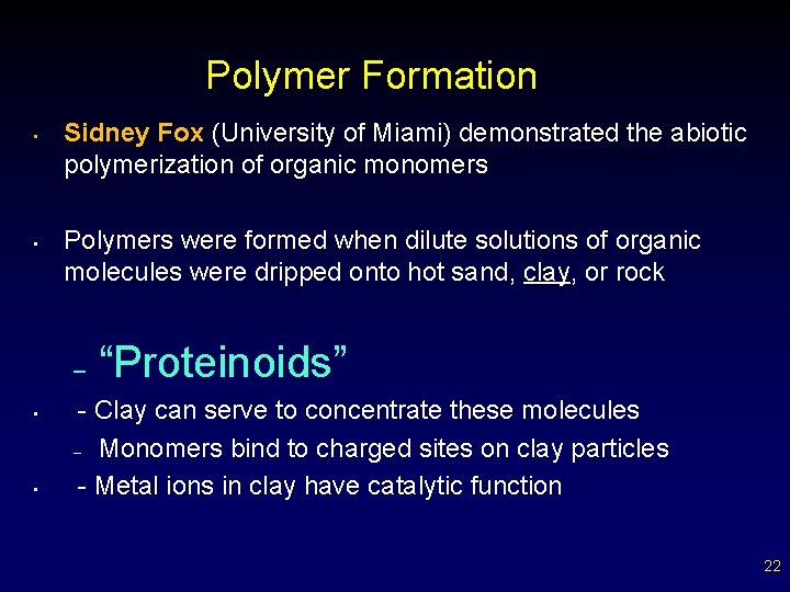 Polymer Formation • • Sidney Fox (University of Miami) demonstrated the abiotic polymerization of