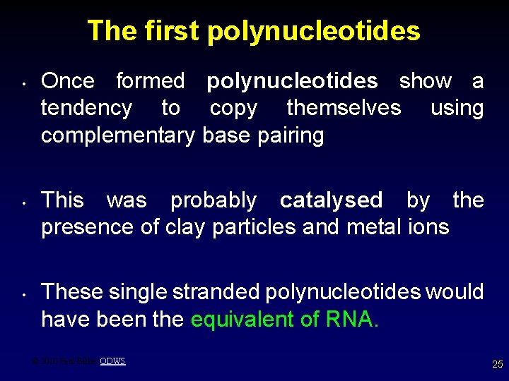 The first polynucleotides • • • Once formed polynucleotides show a tendency to copy