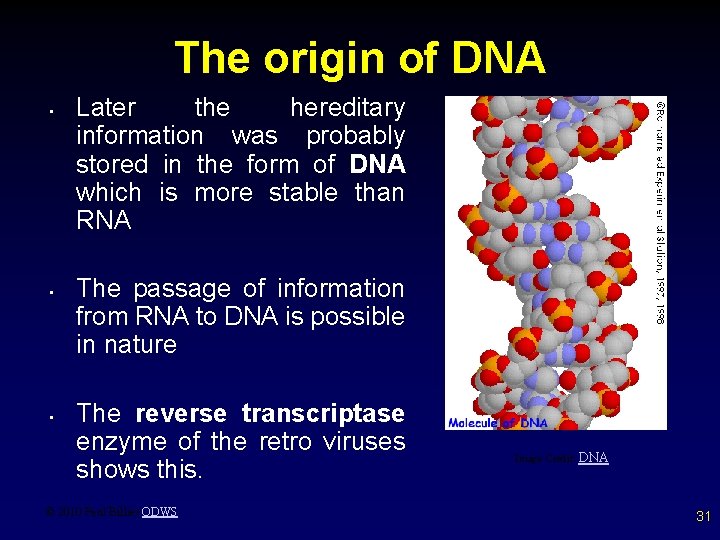 The origin of DNA • • • Later the hereditary information was probably stored