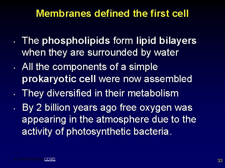 Membranes defined the first cell • • The phospholipids form lipid bilayers when they