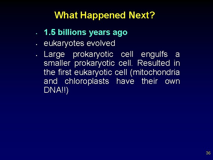 What Happened Next? • • • 1. 5 billions years ago eukaryotes evolved Large