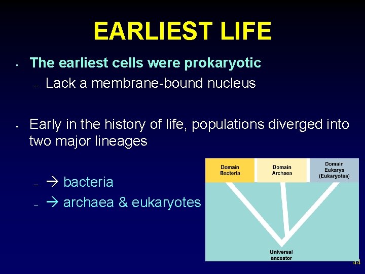 EARLIEST LIFE • • The earliest cells were prokaryotic – Lack a membrane-bound nucleus