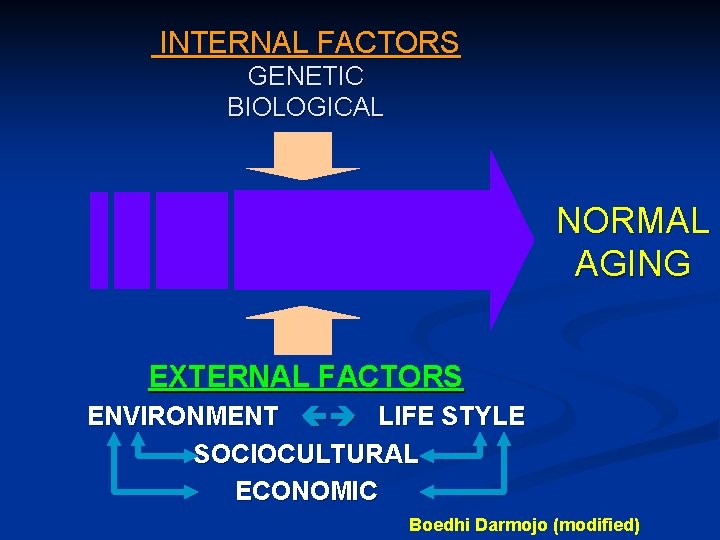 INTERNAL FACTORS GENETIC BIOLOGICAL NORMAL AGING EXTERNAL FACTORS ENVIRONMENT LIFE STYLE SOCIOCULTURAL ECONOMIC Boedhi