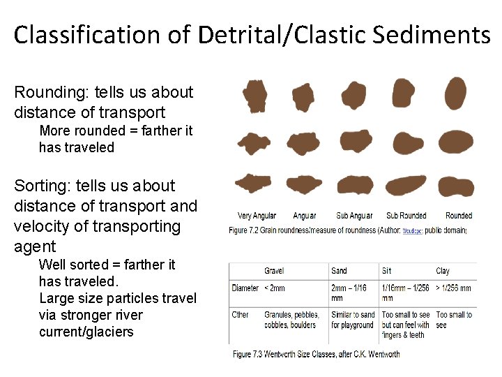 Classification of Detrital/Clastic Sediments Rounding: tells us about distance of transport More rounded =