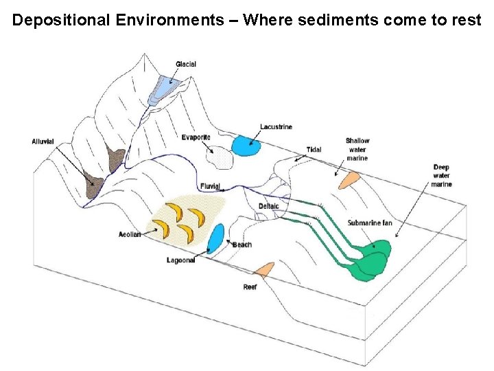 Depositional Environments – Where sediments come to rest 