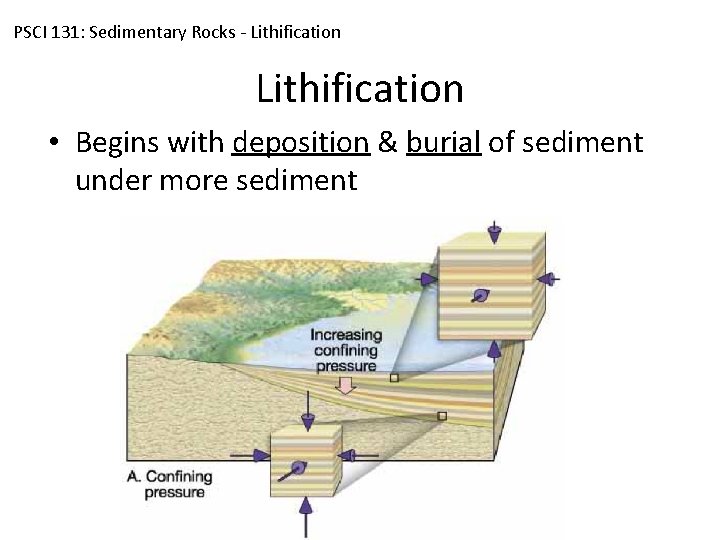 PSCI 131: Sedimentary Rocks - Lithification • Begins with deposition & burial of sediment