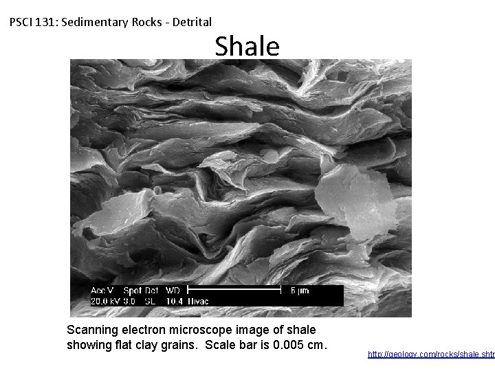 PSCI 131: Sedimentary Rocks - Detrital Shale Scanning electron microscope image of shale showing