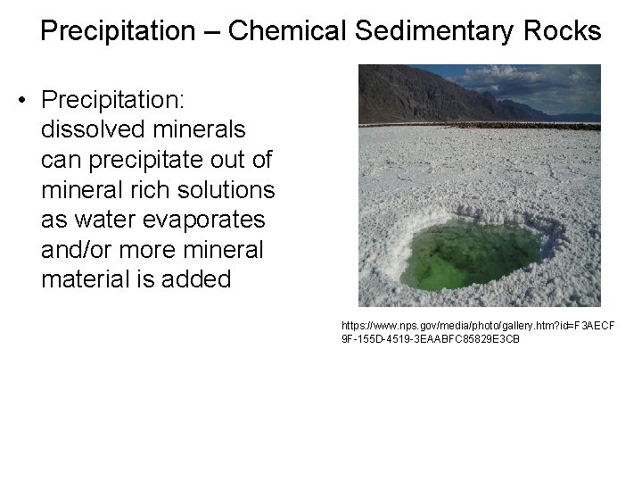 Precipitation – Chemical Sedimentary Rocks • Precipitation: dissolved minerals can precipitate out of mineral