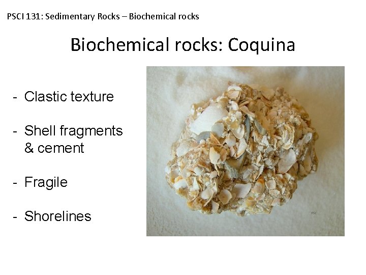 PSCI 131: Sedimentary Rocks – Biochemical rocks: Coquina - Clastic texture - Shell fragments