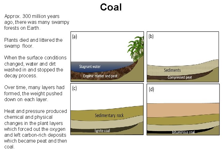 Coal Approx. 300 million years ago, there was many swampy forests on Earth. Plants