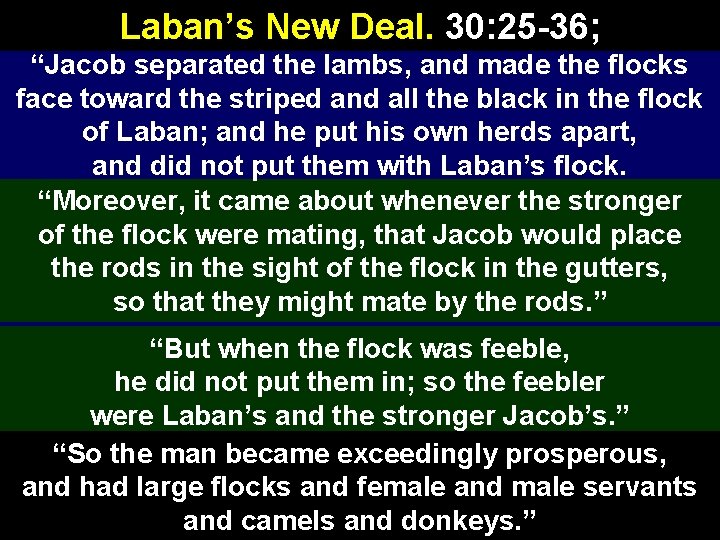 Laban’s New Deal. 30: 25 -36; “Jacob separated the lambs, and made the flocks