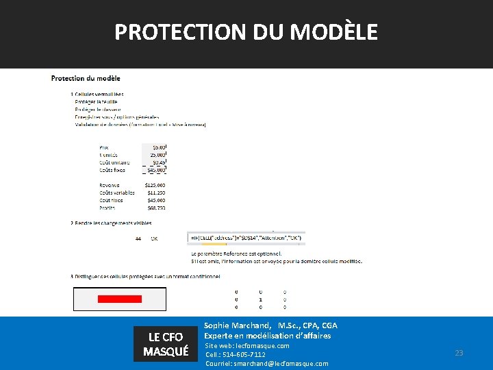 PROTECTION DU MODÈLE LE CFO MASQUÉ Sophie Marchand, M. Sc. , CPA, CGA Experte