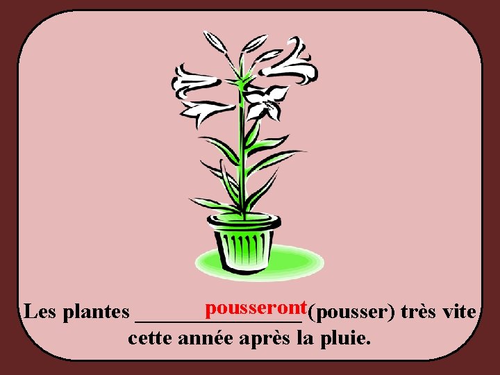 pousseront(pousser) très vite Les plantes ________ cette année après la pluie. 