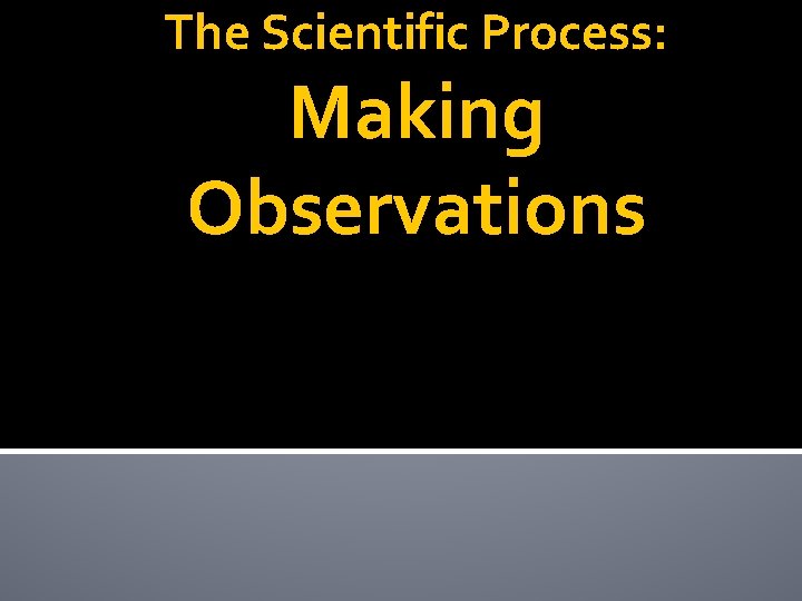The Scientific Process: Making Observations 