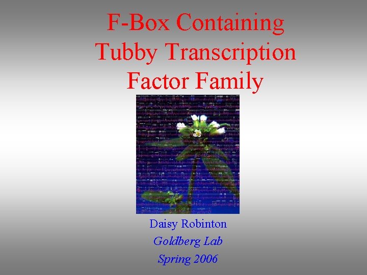F-Box Containing Tubby Transcription Factor Family Daisy Robinton Goldberg Lab Spring 2006 
