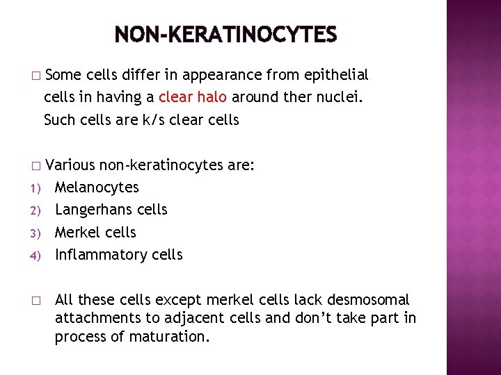 NON-KERATINOCYTES � Some cells differ in appearance from epithelial cells in having a clear