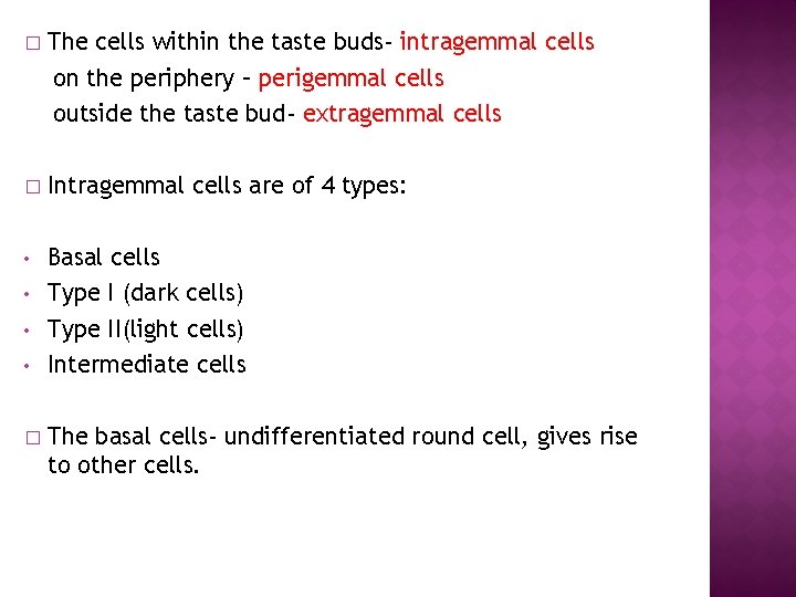 � The cells within the taste buds- intragemmal cells on the periphery – perigemmal