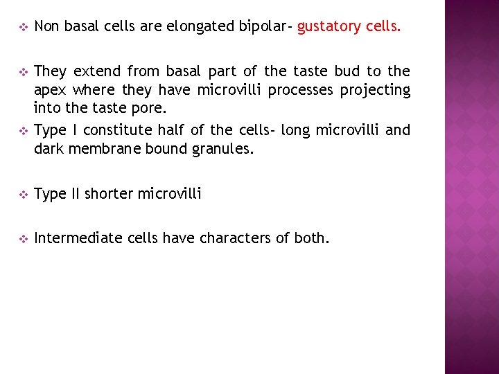 v Non basal cells are elongated bipolar- gustatory cells. v They extend from basal