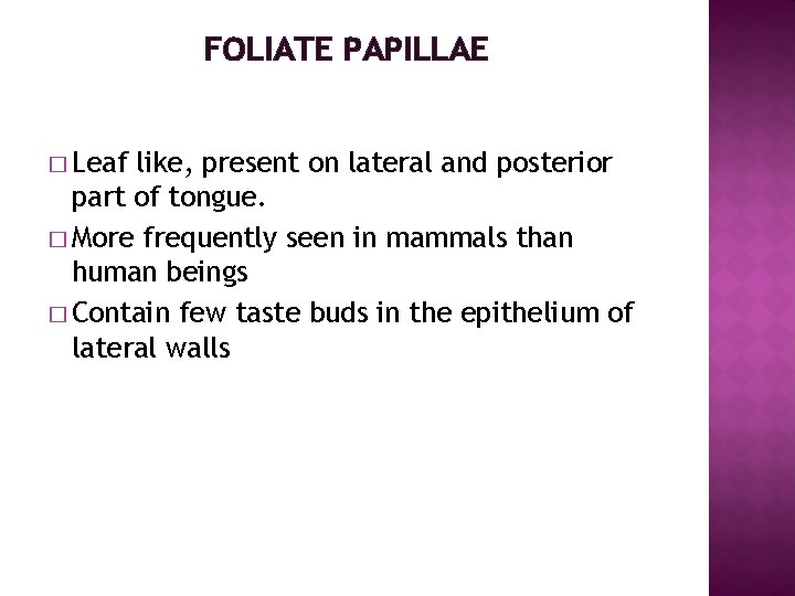 FOLIATE PAPILLAE � Leaf like, present on lateral and posterior part of tongue. �
