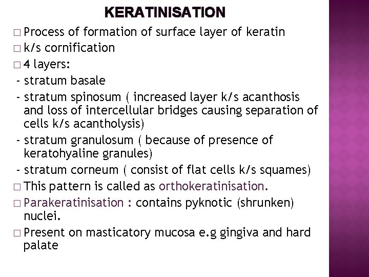 KERATINISATION � Process of formation of surface layer of keratin � k/s cornification �