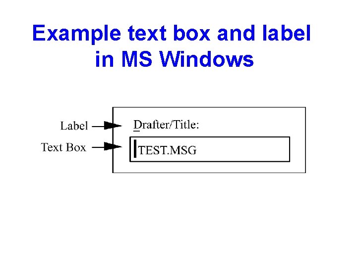 Example text box and label in MS Windows 