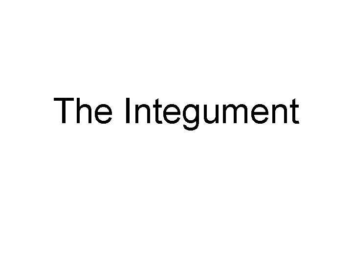 The Integument 