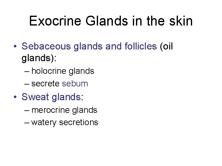 Exocrine Glands in the skin • Sebaceous glands and follicles (oil glands): – holocrine