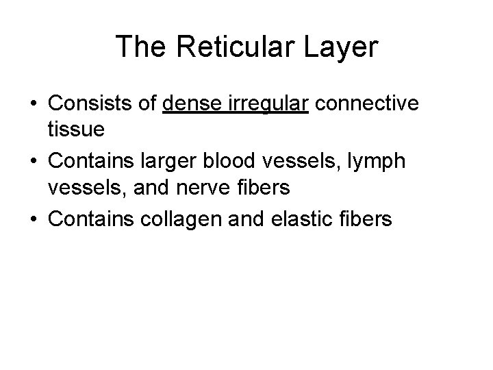 The Reticular Layer • Consists of dense irregular connective tissue • Contains larger blood