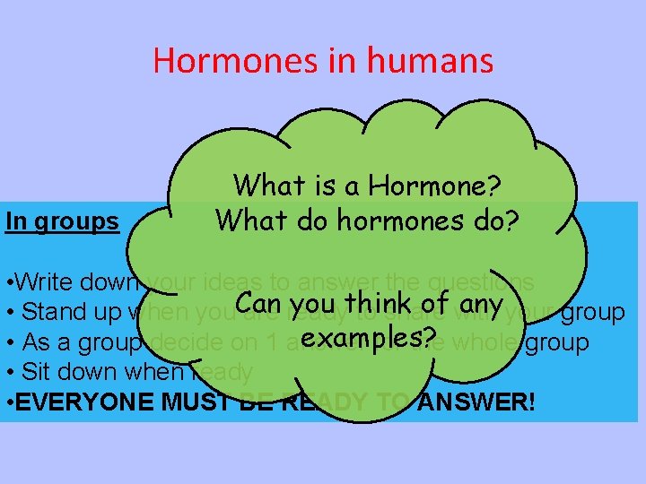 Hormones in humans In groups What is a Hormone? What do hormones do? •