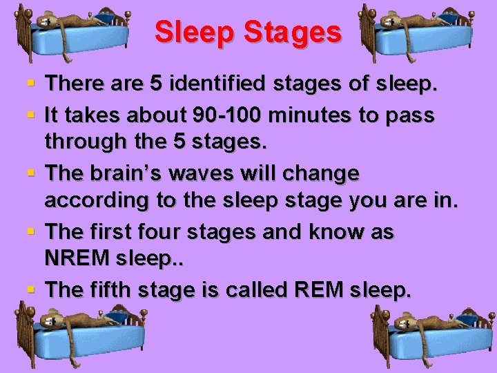 Sleep Stages § There are 5 identified stages of sleep. § It takes about