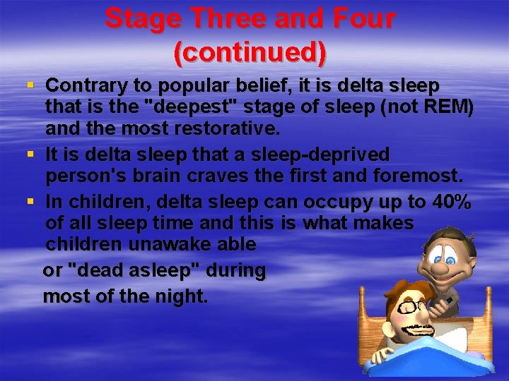 Stage Three and Four (continued) § Contrary to popular belief, it is delta sleep