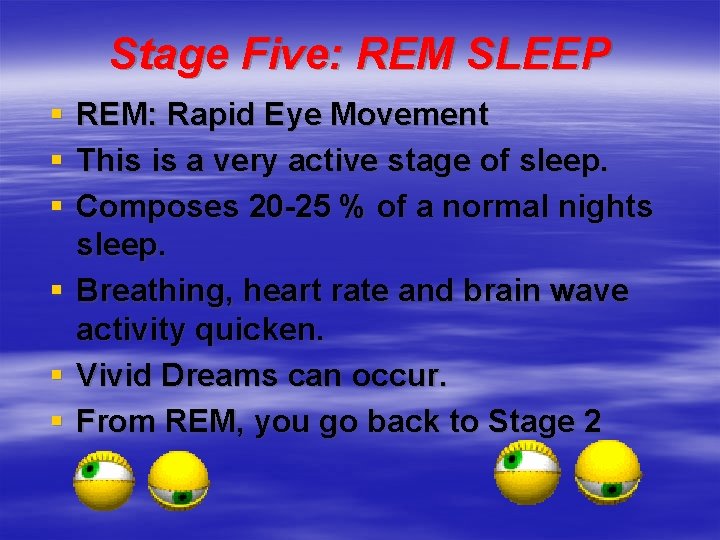 Stage Five: REM SLEEP § § § REM: Rapid Eye Movement This is a