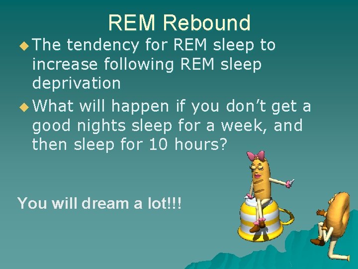 u The REM Rebound tendency for REM sleep to increase following REM sleep deprivation