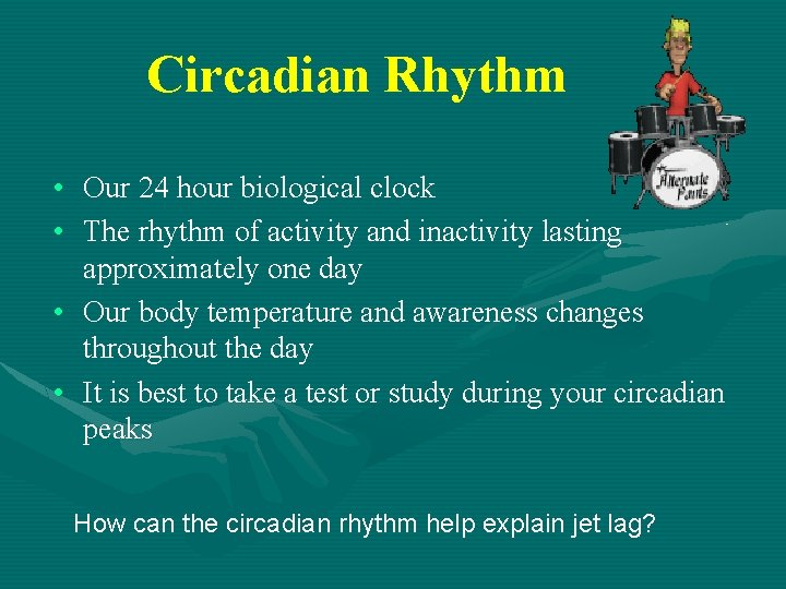 Circadian Rhythm • Our 24 hour biological clock • The rhythm of activity and