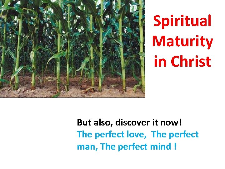 Spiritual Maturity in Christ But also, discover it now! The perfect love, The perfect Spiritual Maturity in Christ But also, discover it now! The perfect love, The perfect
