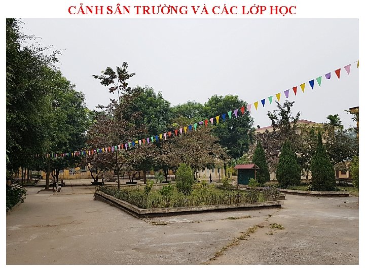 CẢNH S N TRƯỜNG VÀ CÁC LỚP HỌC 