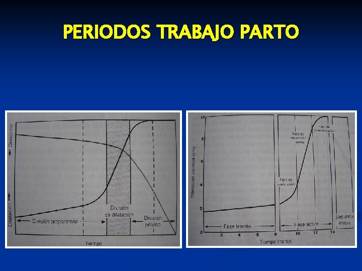 PERIODOS TRABAJO PARTO 