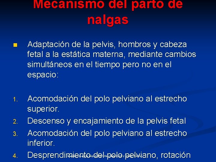Mecanismo del parto de nalgas n Adaptación de la pelvis, hombros y cabeza fetal