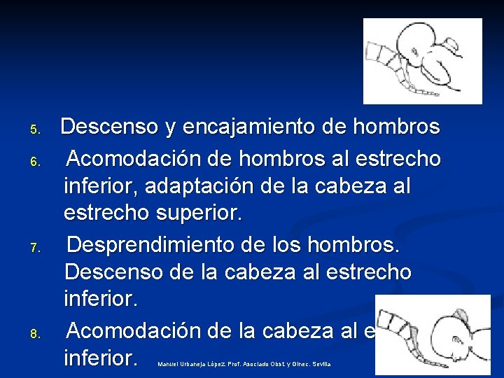 5. 6. 7. 8. Descenso y encajamiento de hombros Acomodación de hombros al estrecho