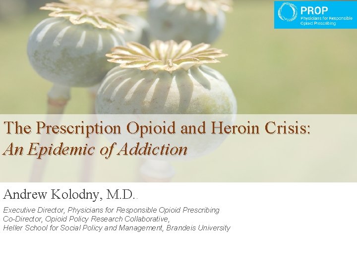 The Prescription Opioid and Heroin Crisis: An Epidemic of Addiction Andrew Kolodny, M. D.